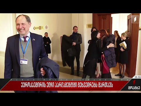 ევროკავშირის ელჩი პარლამენტში შეხვედრებს მართავს